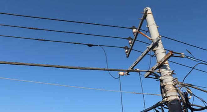 有限会社大新企画