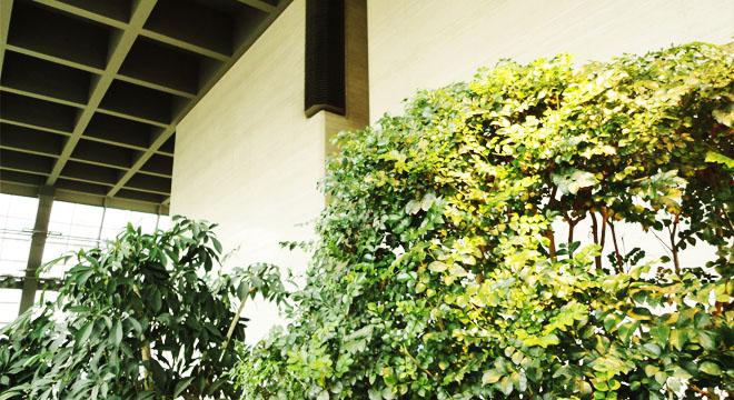 株式会社グリーン・シンフォニー