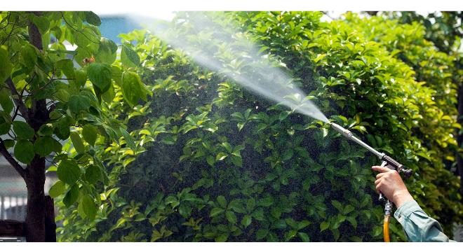 株式会社 田久保造園土木