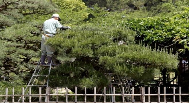 織田　与花園