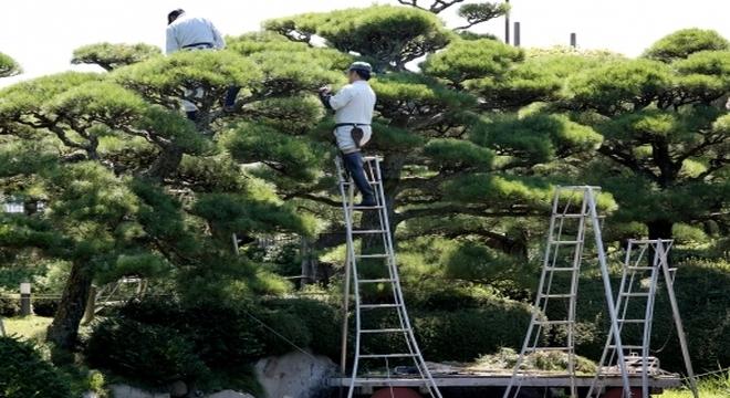 株式会社RISE