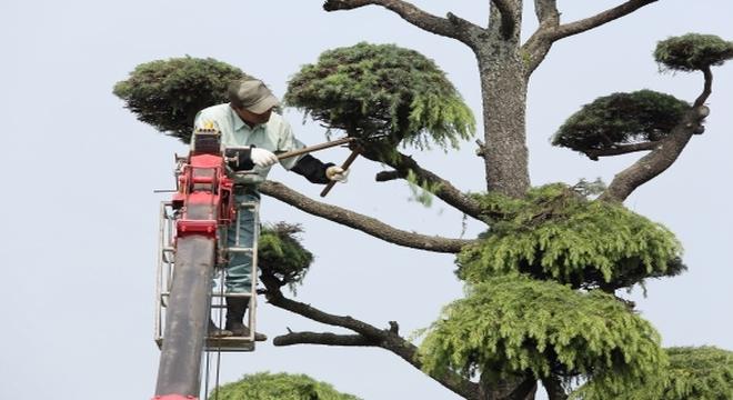 有限会社芝田造園土木