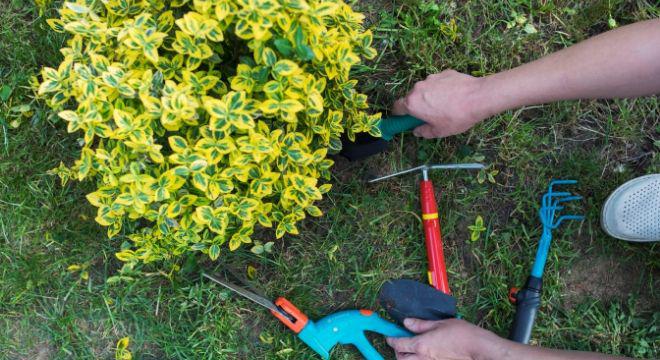 株式会社ミヤビ建興