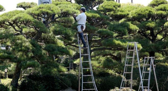 株式会社大和日昇建設