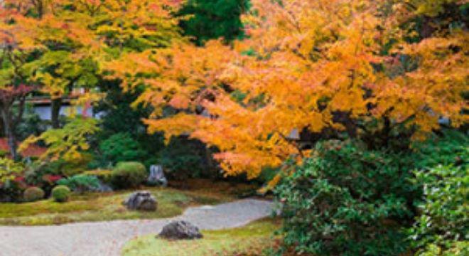 株式会社 みまもりジャパン