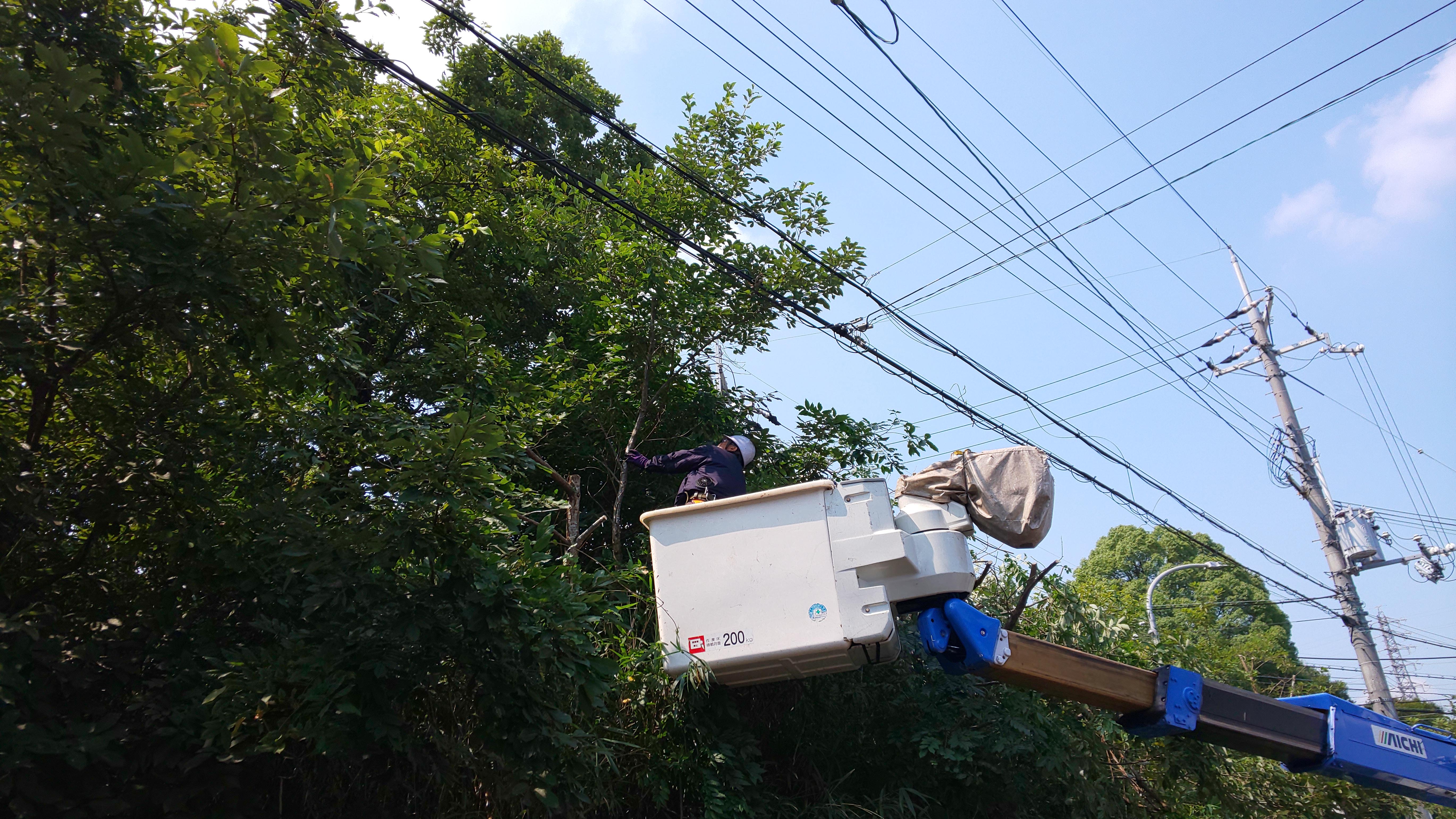 株式会社 大進庭石