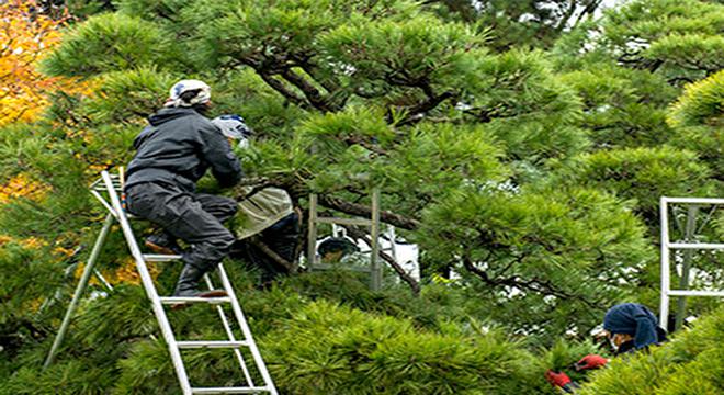 コンチネント株式会社