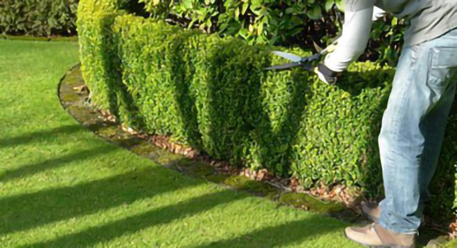 株式会社前川造園土木