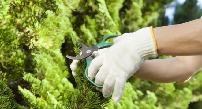 株式会社前川造園土木