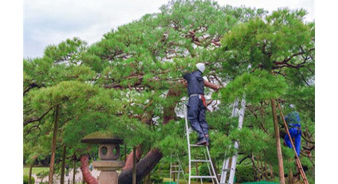 有限会社中日本造園