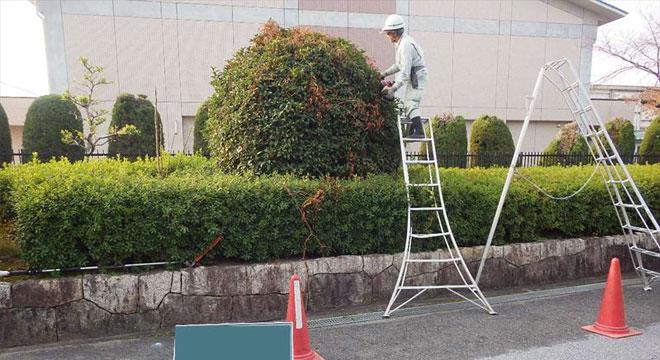 有限会社中日本造園