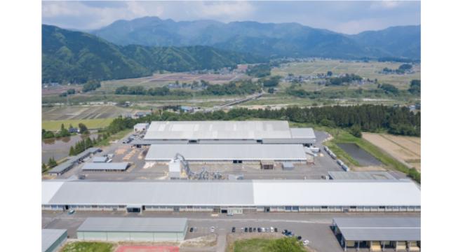 ファーストウッド株式会社