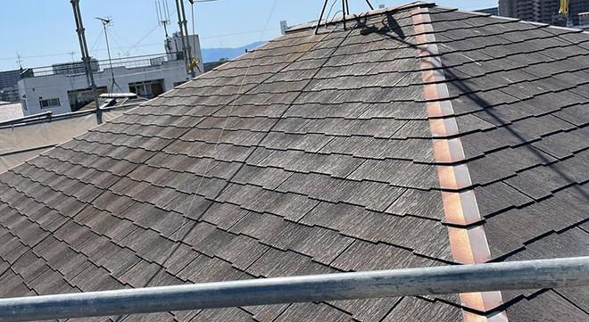 株式会社 XenoBest