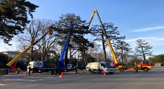 株式会社 右京野造園