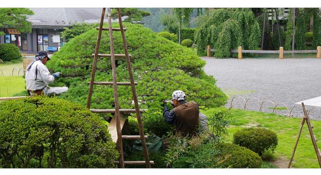 株式会社 田久保造園土木