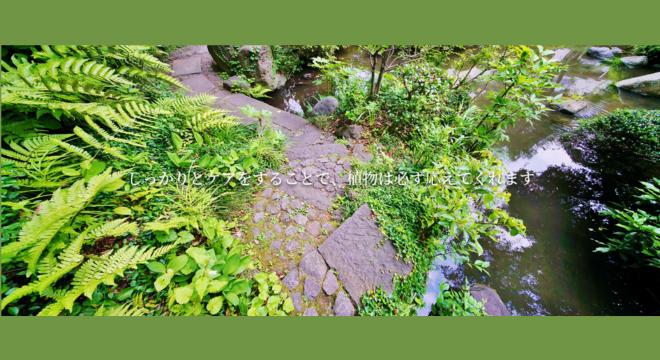 株式会社植友造園土木