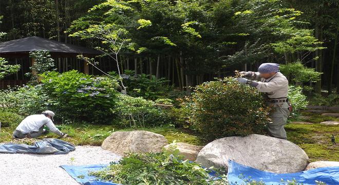有限会社 嵐山造園