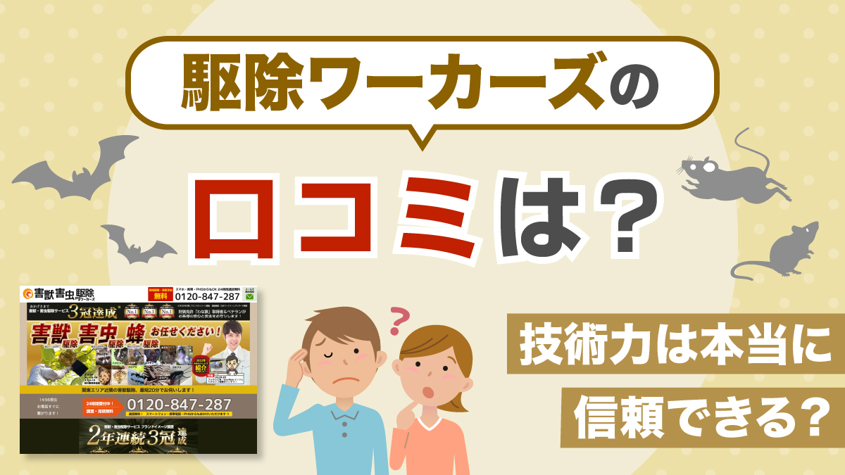 駆除ワーカーズの口コミは？技術力は本当に信頼できる？